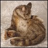 Thumbnail and Linked Image Copyright 2007 Astral Castle, All Rights Reserved Worldwide