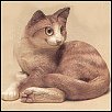Thumbnail and Linked Image Copyright 2004 Windstone Editions, All Rights Reserved Worldwide