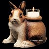 Thumbnail and Linked Image Copyright 2003  Astral Castle, All Rights Reserved Worldwide