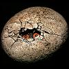 Thumbnail and Linked Image Copyright 2001 Windstone Editions, All Rights Reserved Worldwide
