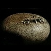 Thumbnail and Linked Image Copyright 2001 Windstone Editions, All Rights Reserved Worldwide