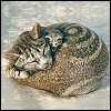 Thumbnail and Linked Image Copyright 20012Astral Castle, All Rights Reserved Worldwide